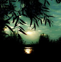 /album/www-pix-fx-de/dsc-0513-3-jpg/